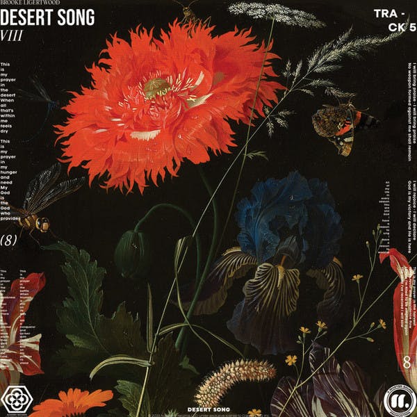Desert Song - Brook Ligerwood (Single)