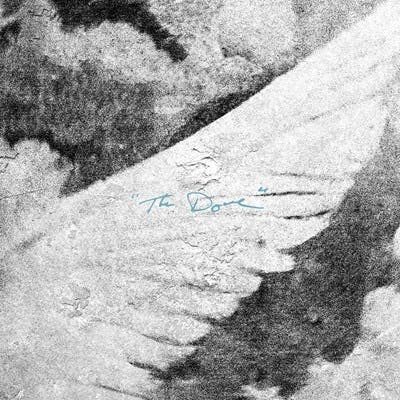 The Dove (Single)